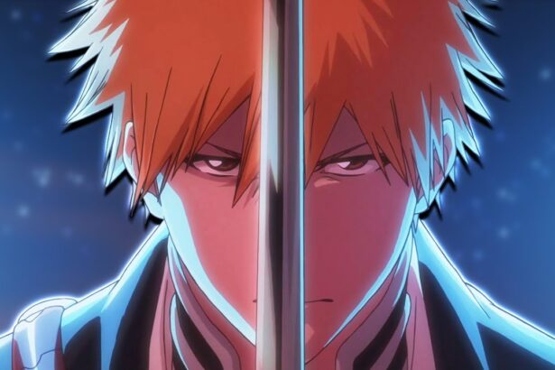 Bleach Watch Order